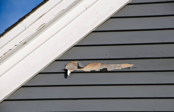 Best Siding Removal and Disposal  in Highland Village, TX